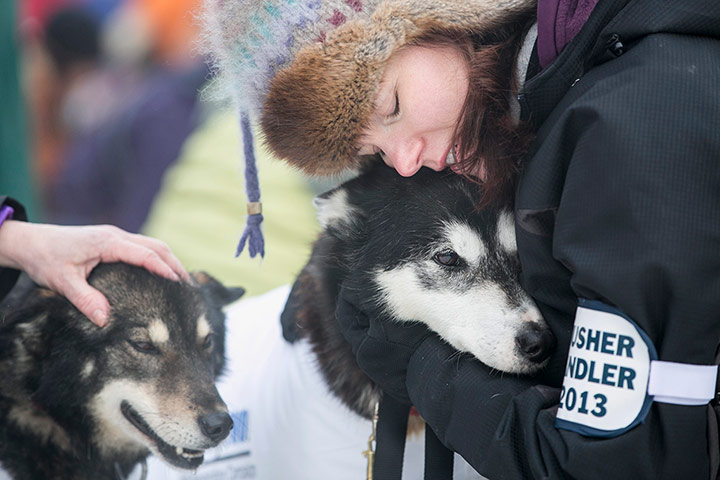 The Iditarod dog sled race in Anchorage