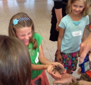 Our daughter holding a tarantula.